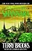The Elfstones of Shannara (Shannara, #2)
