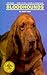 Bloodhounds