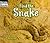 Find the Snake (Welcome Books: Hide and Seek)