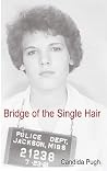 Bridge of the Single Hair by Candida Pugh
