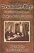 Drummer Boy: The Civil War Diary of Edwin Hale Lincoln