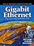 Gigabit Ethernet: Migrating to High-Bandwidth LANs (Prentice Hall Series in Computer Networking and Distributed Systems)