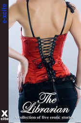 The Librarian (Kindle Edition)