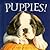 Puppies