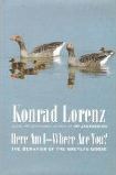 Here I am - Where are you?  The Behaviour of the Greylag Goose