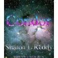 Condor  (Kindle Edition)