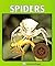 Spiders