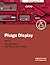 Phage Display: A Practical Approach (Practical Approach Series)