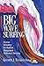Big Wave Surfing - Extreme Technology Development, Management, Marketing & Investing