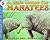 A Safe Home for Manatees (Let's-Read-and-Find-Out Science 1)