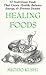 Healing Foods: 55 Nutritious Foods That Create Health, Balance Energy, and Prevent Disease