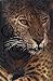 The Quark and the Jaguar by Murray Gell-Mann