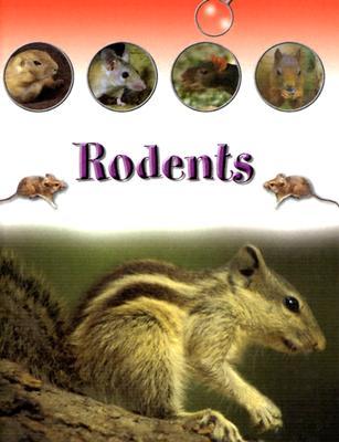 Rodents (Looking at Small Mammals)
