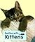 Smitten with Kittens (Littl...