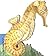 Portable Pets: Seahorse