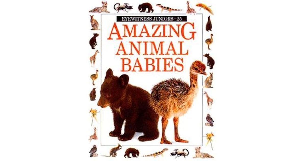 Amazing Animal Babies by Christopher Maynard
