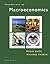 Foundations of Macroeconomics