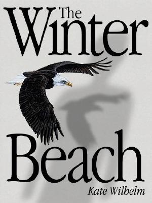 The Winter Beach (Unbound)