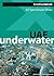 UAE Underwater