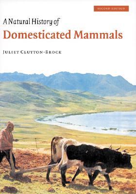 A Natural History of Domesticated Mammals (Paperback)
