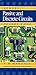 Passive and Discrete Circuits (Volume 2) (Newnes Pocket Books, Volume 2)