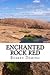 Enchanted Rock Red