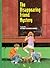 The Disappearing Friend Mystery (Boxcar Children Mysteries, 30)