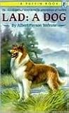 Lad: A Dog