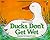 Ducks Don't Get Wet by Augusta R. Goldin