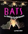Bats: The Amazing Upside-Downers (First Books - Animals)