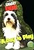 A Day to Play (Shaggy Dog)