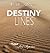 Destiny Lines: Your Soul Si...