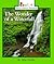 The Wonder of a Waterfall (Rookie Read-About Science)