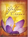 Yellow Crocus by Laila Ibrahim Yellow Crocus by Laila Ibrahim
