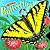 Butterflies! (Know-It-Alls)