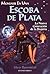 Montarse en una escoba de plata (La nueva generación del arte de la brujería, #1)