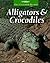 Alligators and Crocodiles