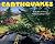 Earthquakes (reillustrated) (Let's-Read-and-Find-Out Science 2)