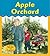 Apple Orchard