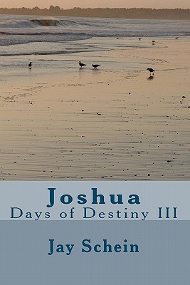 Joshua: Days of Destiny III (Paperback)