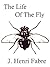 The Life of the Fly