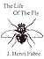 The Life of the Fly