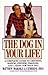 The Dog in Your Life by Matthew Margolis