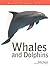 Whales and Dolphins (Nature Factfile)