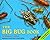 Big Bug Book