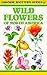 Usborne Spotter's Guides: Wild Flowers