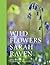 Sarah Raven's Wild Flowers