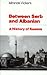 Between Serb and Albanian by Miranda Vickers