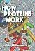 How Proteins Work
