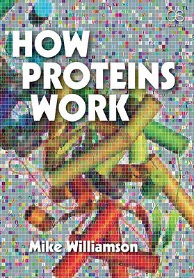 How Proteins Work (Perfect Paperback)